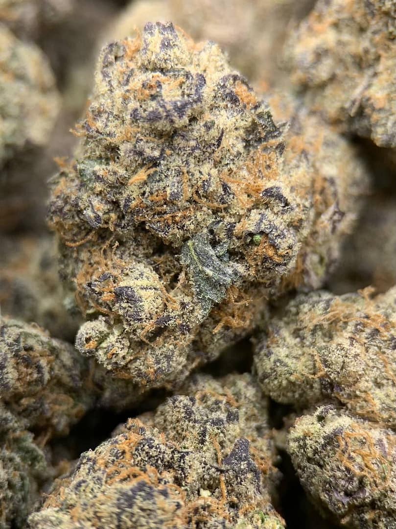 Close-up of Super Buff Cherry THCa Flower buds with dense trichomes and vibrant colors.
