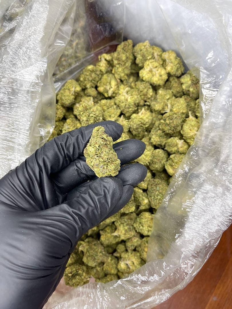 Apple & Bananas CBD Strain - Image 2