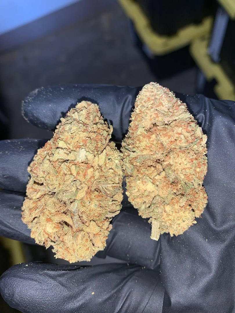 Bulk Green Crack CBD Flower Packages