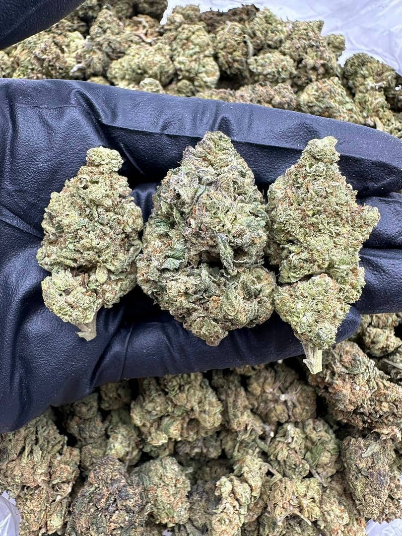 Flan CBD Strain