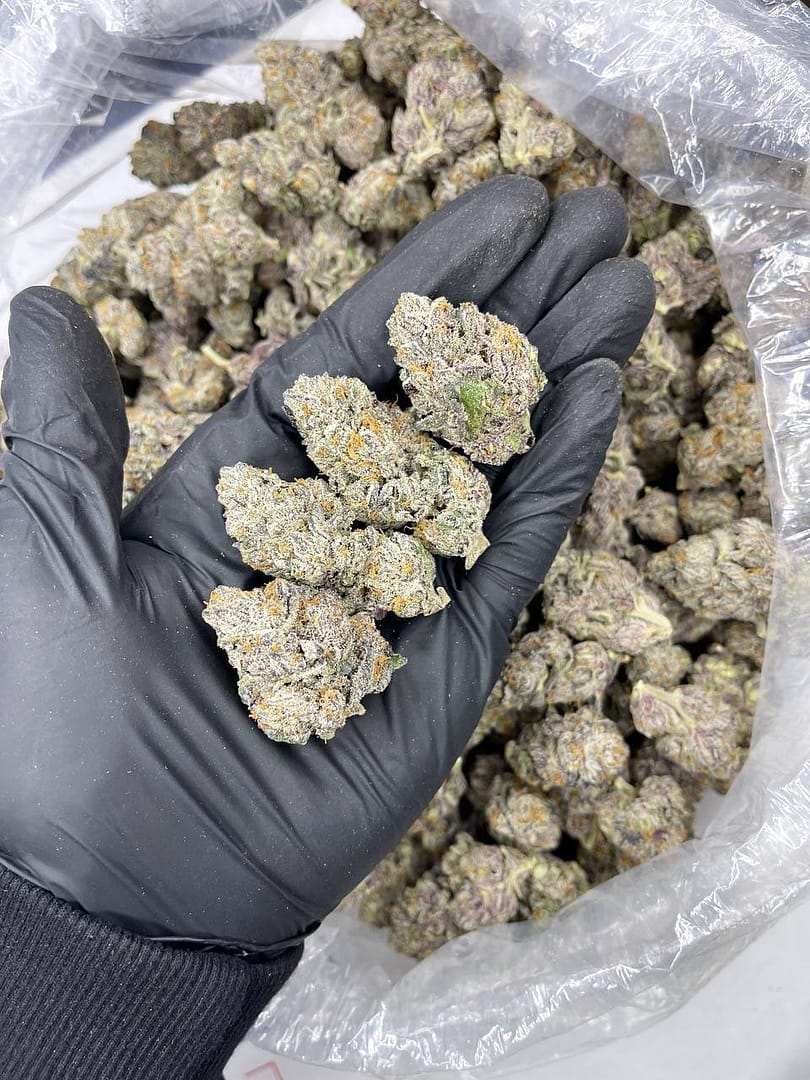 Galaxy Indoor