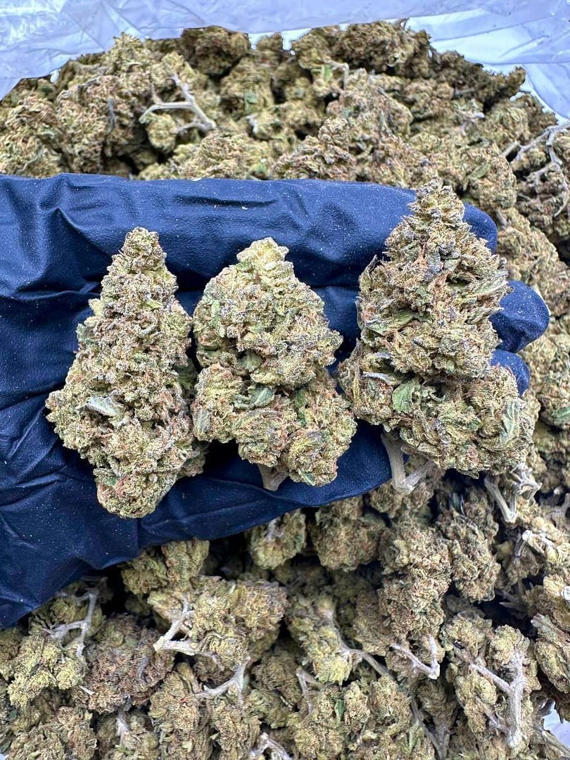 Lime Cookies