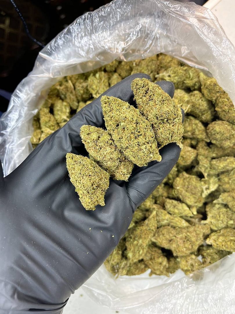 Master OG