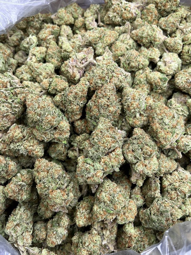 Papaya Punch