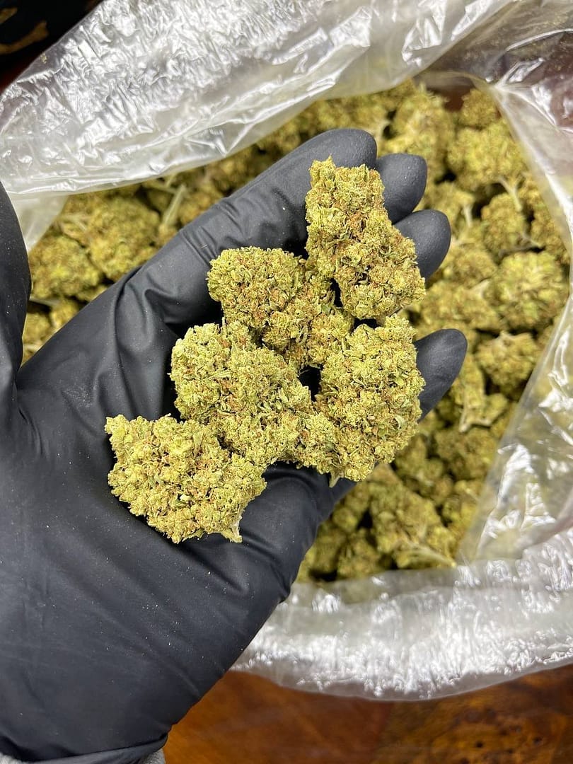Plat CBD