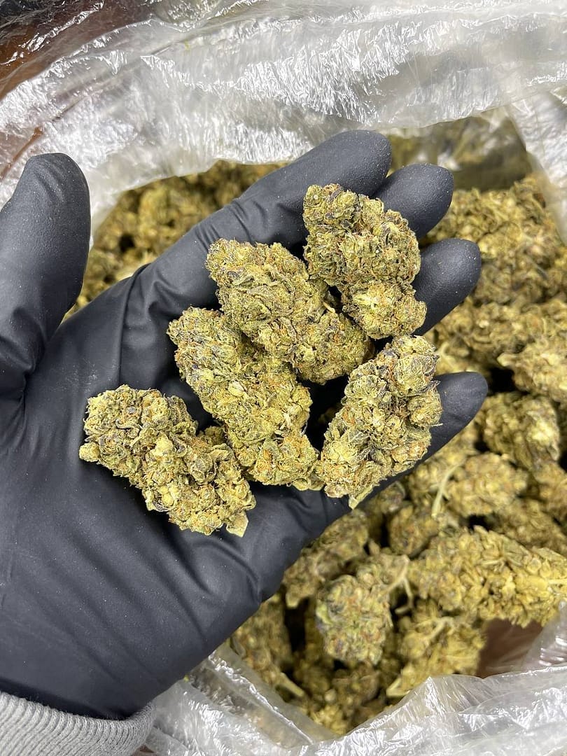 Purp Plat CBD