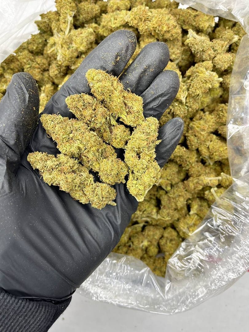 Skywalker CBD