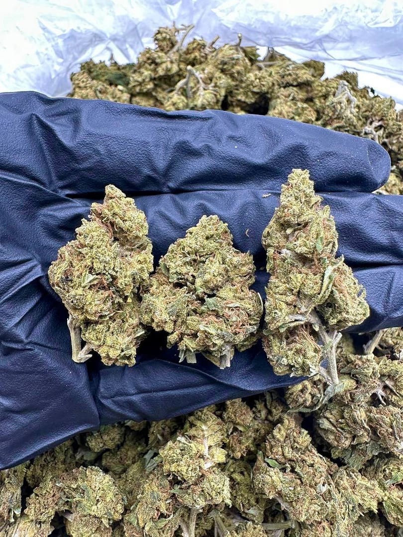 Skunk Diesel