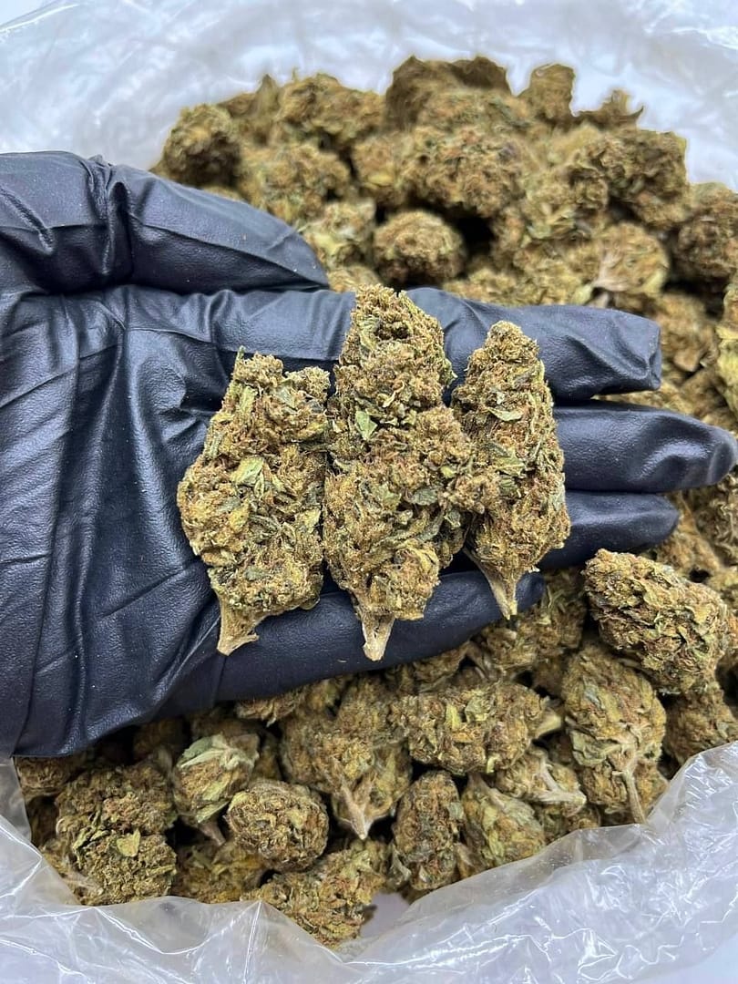 Pineapple Zest CBD: Tropical Elegance for Premium Relaxation