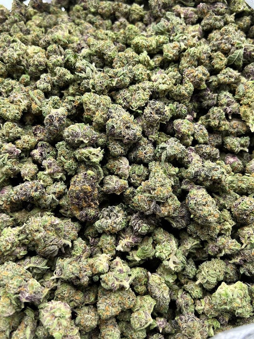 Apple Fritter Smalls Indoor CBD Strain