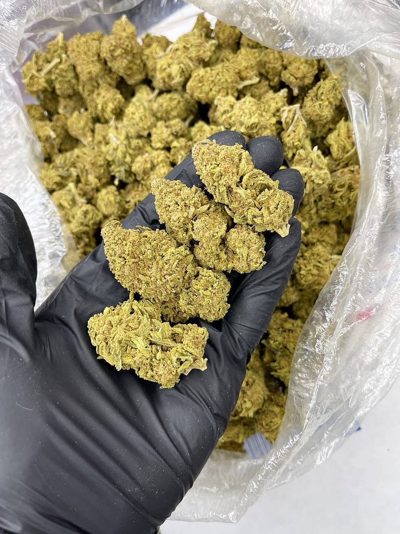 Berry White Indoor CBD Strain