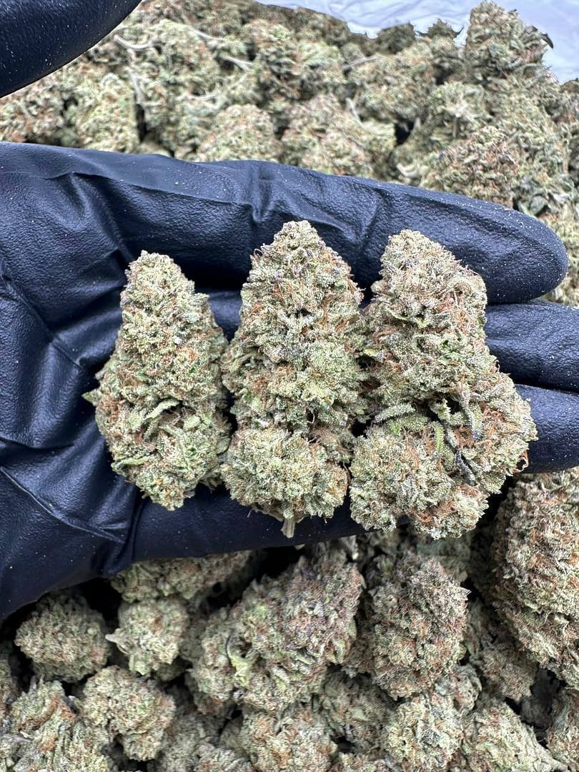 Birthday Cake Indoor