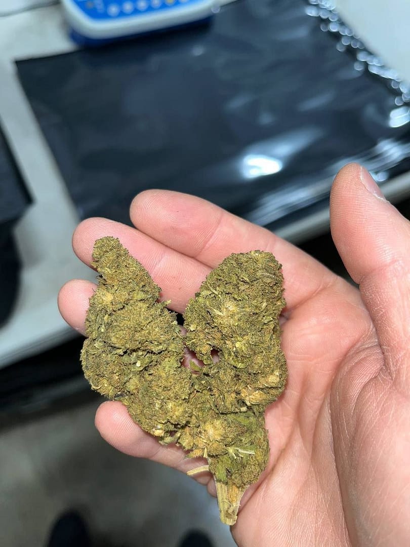 "Bubba Kush Smalls CBD: Indulge in Premium Hemp Flower Bliss"