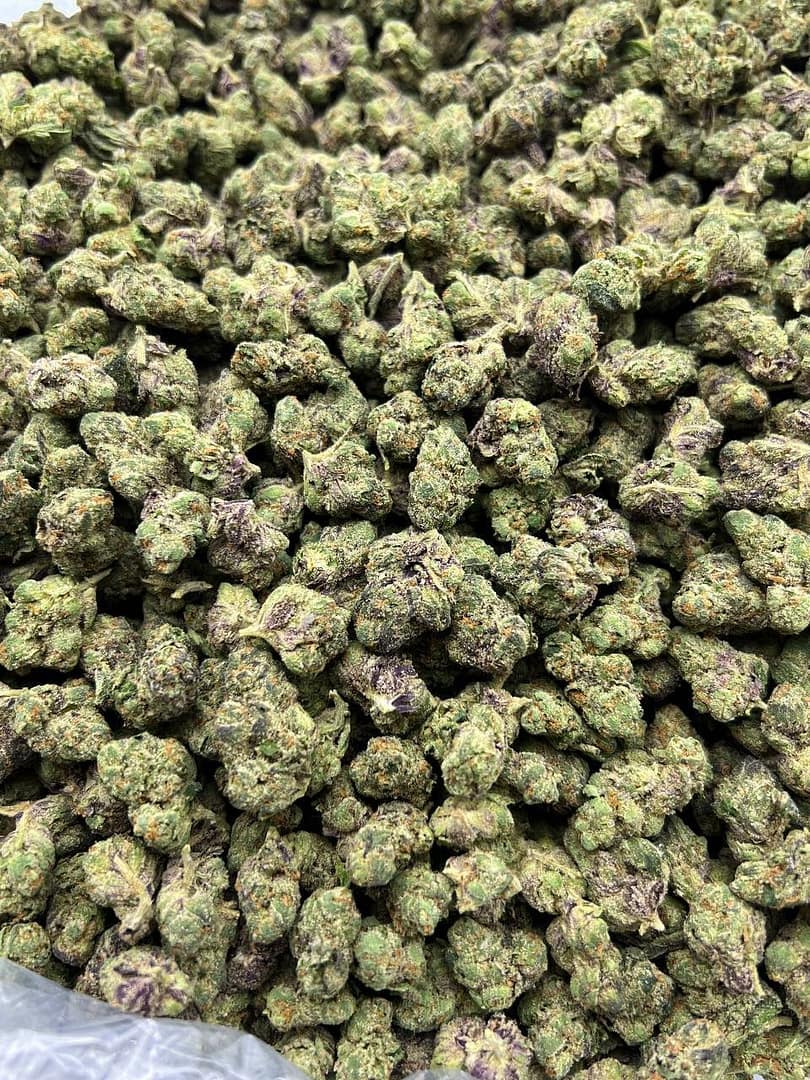 Bubble Gum Gelato Smalls