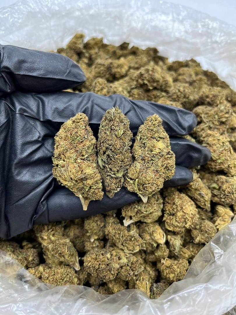 Buy Cherry Mender CBD Strain - Premium CBD Flowers for Relaxation