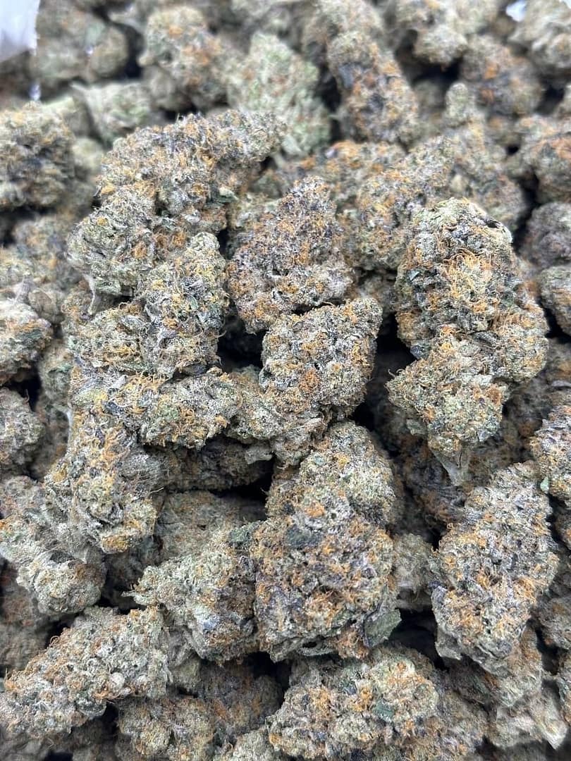 Experience Luxury with Fiber Runtz Indoor CBD Strain | Premium Sativa Hybrid