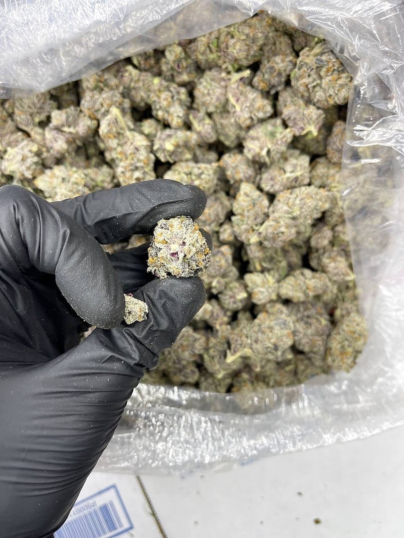 Galaxy Indoor CBD Strain - Image 3