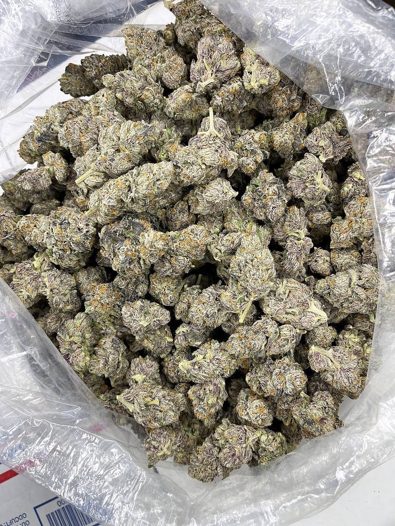 Galaxy Indoor CBD Strain - Image 2