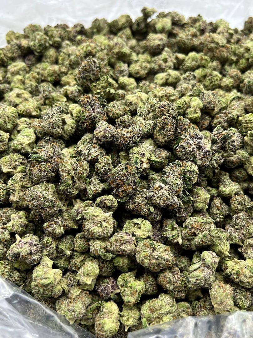 Lemon Cherry Gelato Smalls