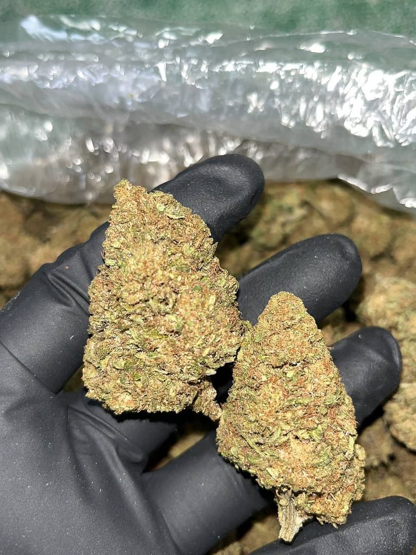 "Lemon Gas CBD: Citrus-Fueled Bliss with CBD-Rich Flowers"