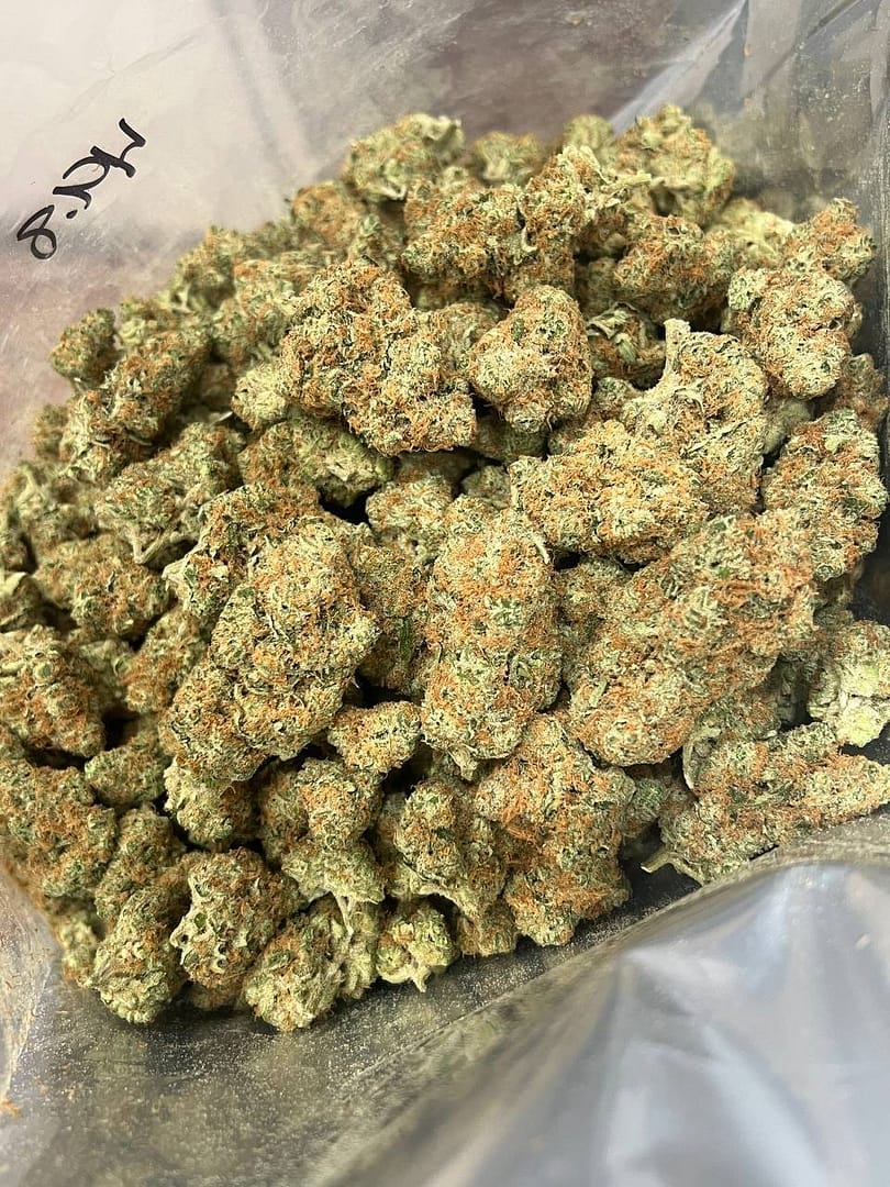 Orange Tangie CBD Strain