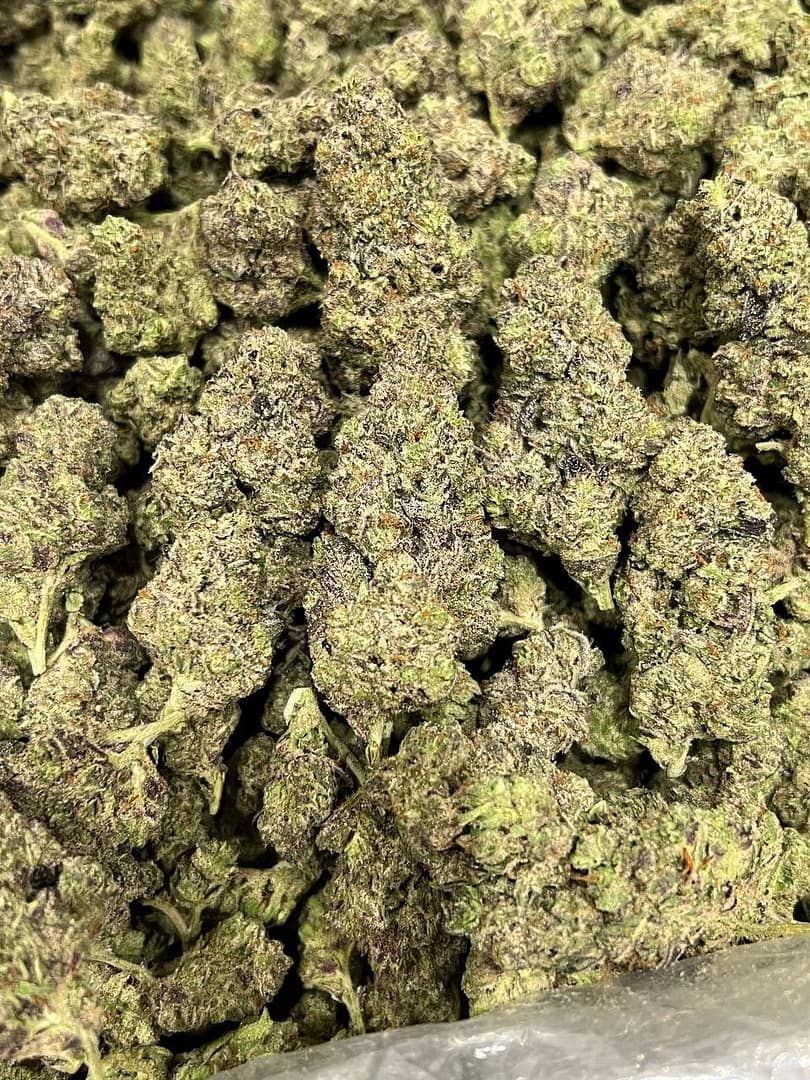 Pluto Gas Indoor CBD Strain