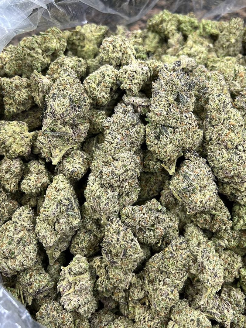 Secret Cookies Indoor