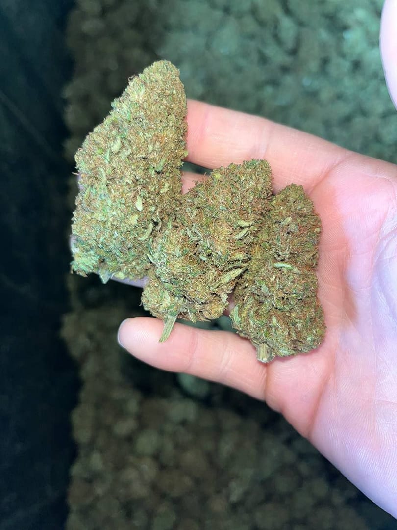 "Sour Brûlée CBD: Elevate Your Senses with Refined Bliss"