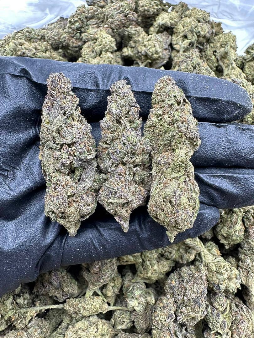 Starburst CBD Strain