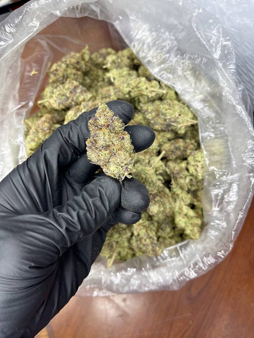 Wap Indoor CBD Strain - Image 2