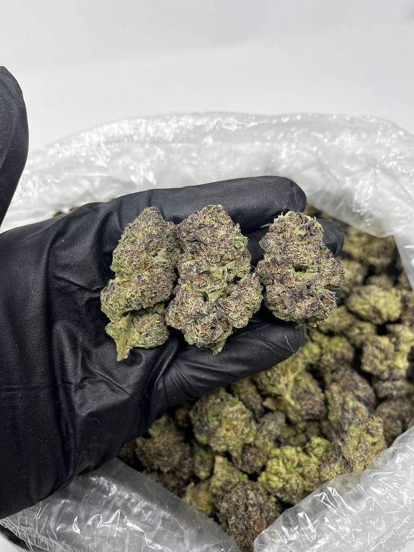 Blue Gushers CBD Strain