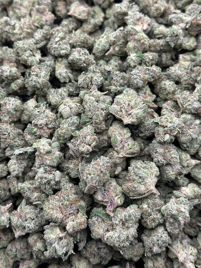 Cherry Glaze Smalls: Premium Indoor CBD Strain