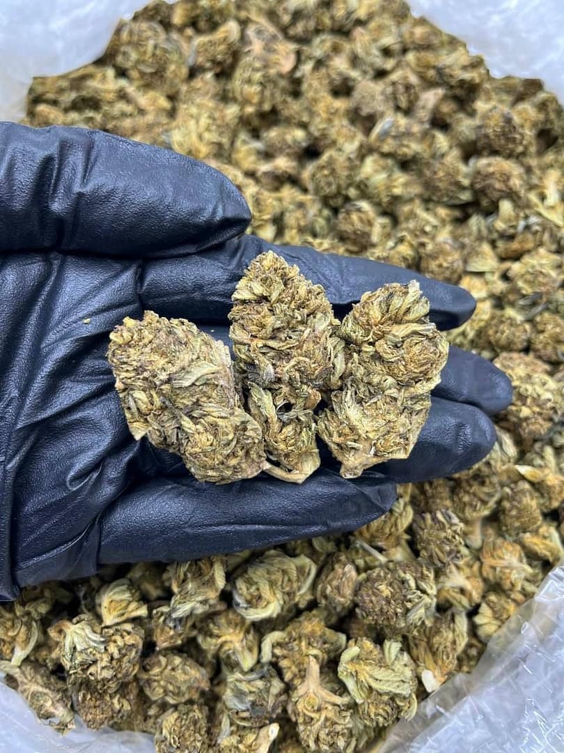 Cloud Cap CBD: Elevate Your Senses with Premium Sativa