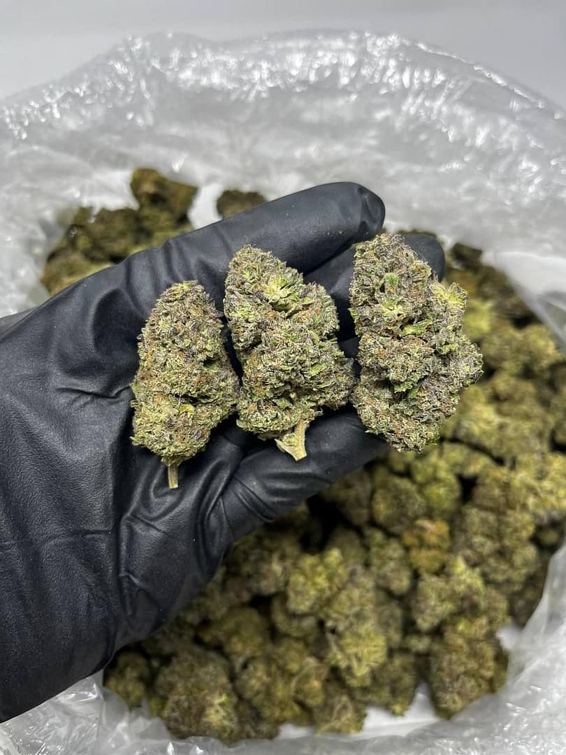 Cream Cake CBD Strain