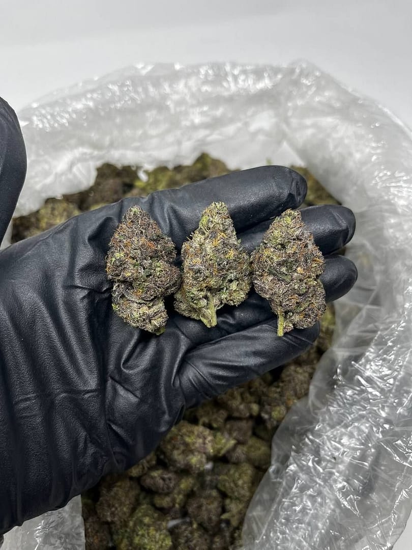 Lemon Cherry Gelato CBD Strain