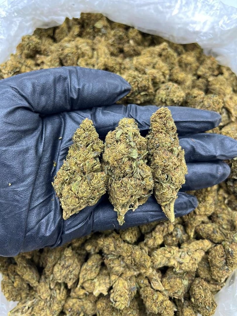 Mindscape CBD: Redefining Relaxation with Citrus Elegance