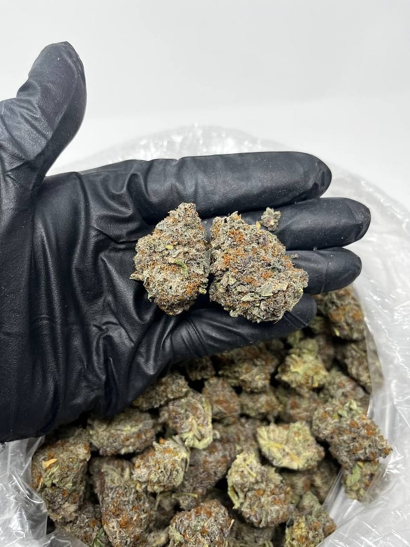 Pink Runtz CBD Strain