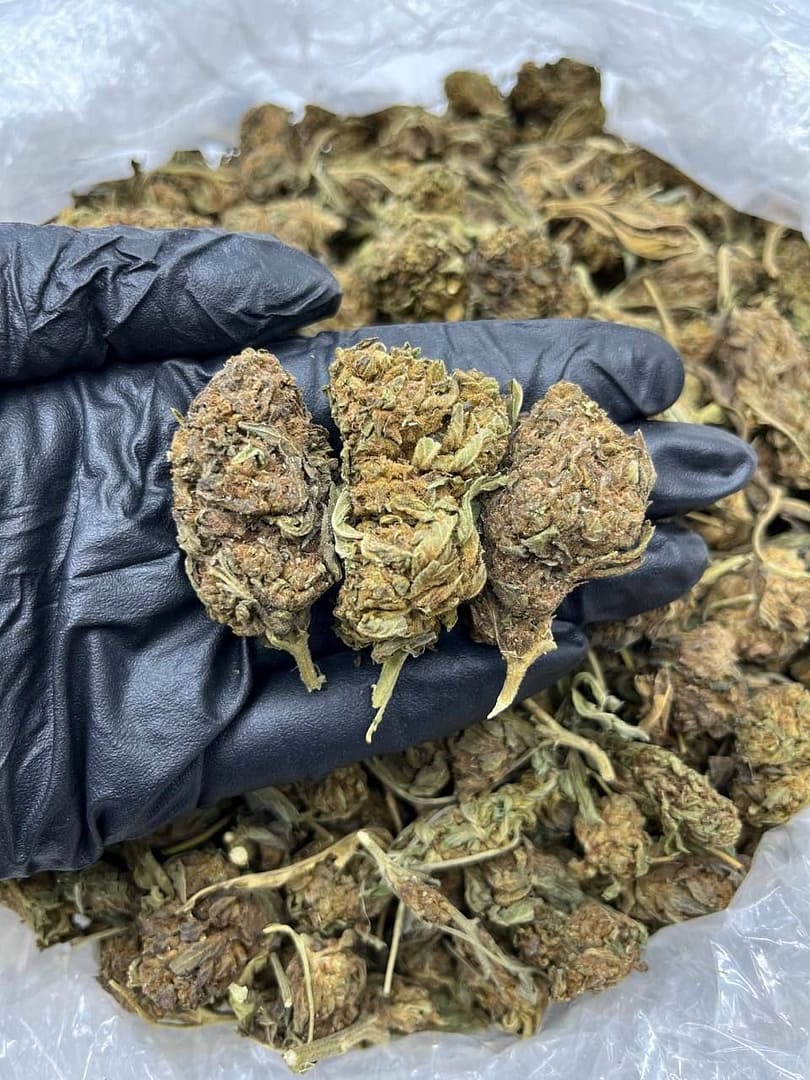 Sunset Fire CBD: Embrace the Warmth of Premium Indica