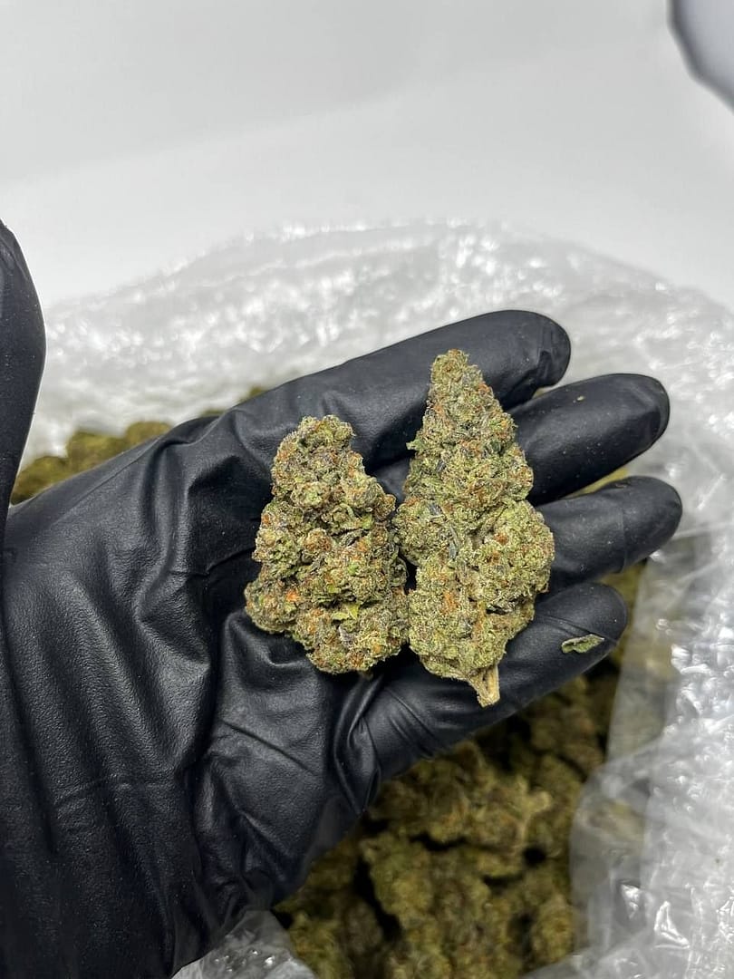 Strawnana CBD Strain