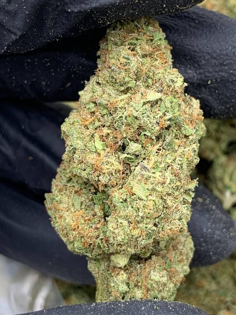 White Widow CBD Strain