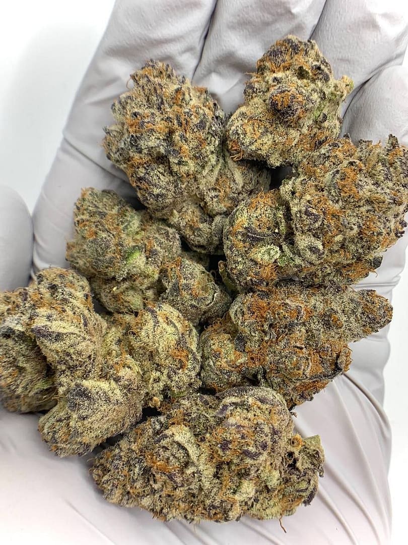 Bulk packaging of Black Ice THCa Flower for wholesale buyers, showcasing vibrant buds.