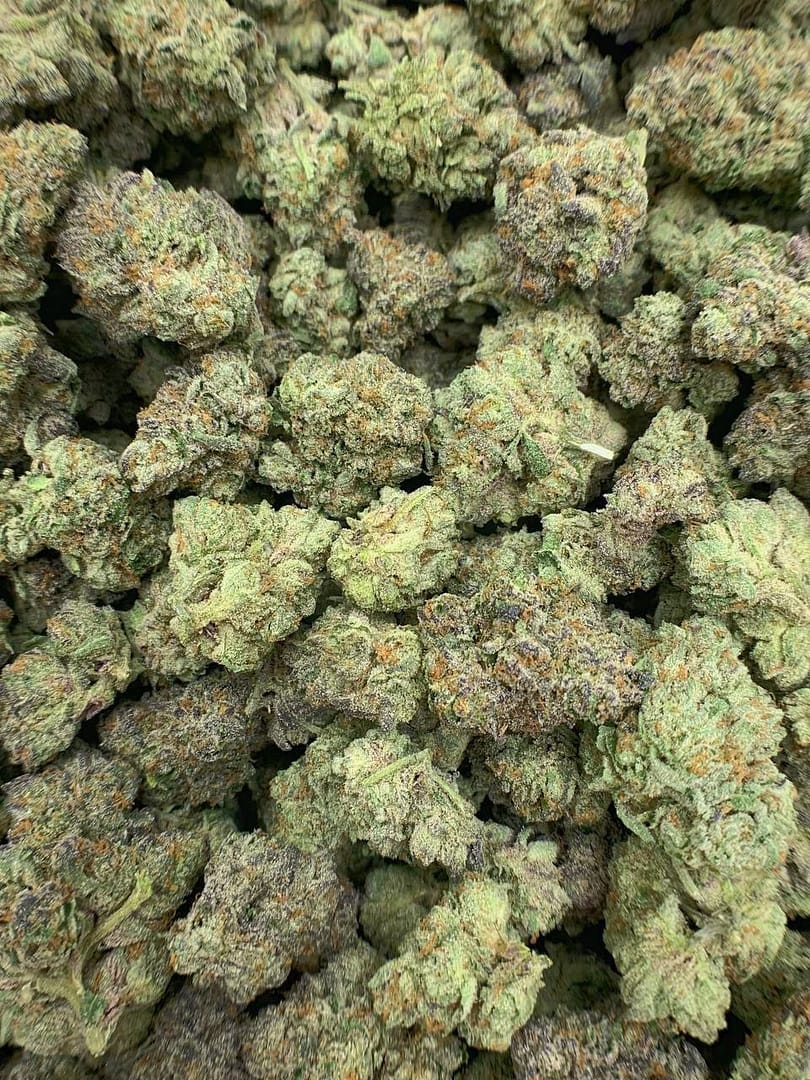 Frosty White Gumbo bud close-up